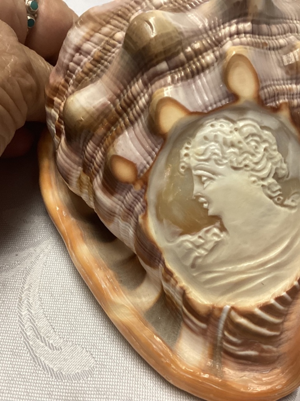 BEAUTIFUL Vintage Italian LARGE Hand Carved Cameo Conch Shell MINT CONDITION - Picture 10 of 10